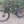 Load image into Gallery viewer, Shop discounted 951 Series XC Carbon Trail Mountain Bike for sale onlne
