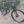 Load image into Gallery viewer, Shop discounted 951 Series XC Carbon Trail Mountain Bike for sale onlneShop discounted 951 Series XC Carbon Trail Mountain Bike for sale online
